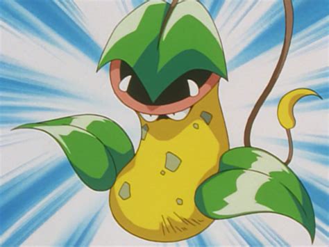 victreebel pokémon evolution|pokemon james victreebel.